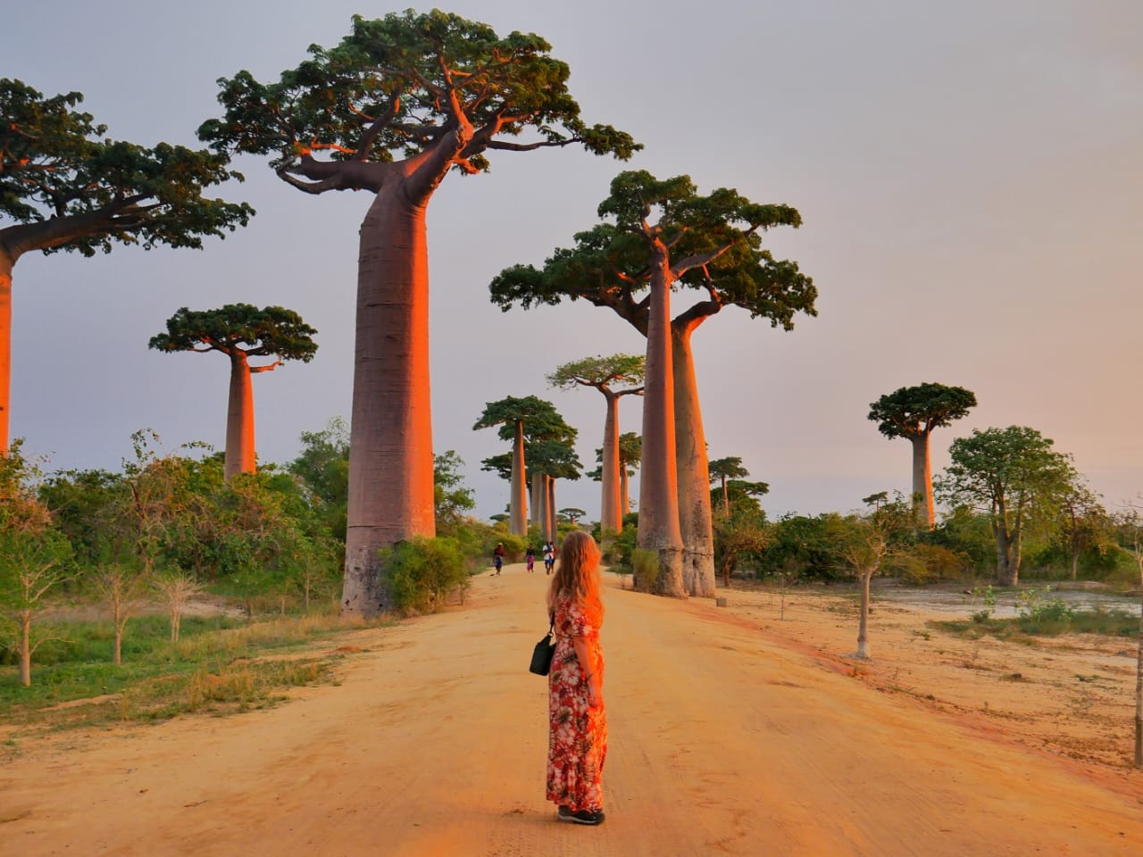 Tsingy, Baobabs, Isalo and Island Luxury Escape